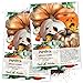 Seed Needs, Spooky Pumpkin Mixture (Cucurbita Pepo/Maxima) Twin Pack of 50 Seeds Each Non-GMO primary