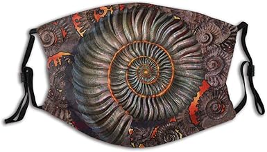 Minalo Face Cover Ammonite Color Fossil Prehistoric Shell Spiral Rock Ancient Mystical Heat Hot Surreal Balaclava Unisex Reusable Windproof Anti Dust Mouth Bandanas Outdoor Neck Gaiter With 2 Filters At Amazon Women S Clothing amazon com