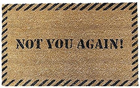 XiaoS Door Mats Custom Doormat Decorative Funny Not You Again for indoor and outdoor use Home/Office/Bedroom Non Slip Backing Durable heatresistant nonwoven fabric 23.6 (L) x 15.7 (W) inches