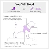 Joytale Step in Dog Harness Soft Mesh Reflective Vest XXXS Purple view 7