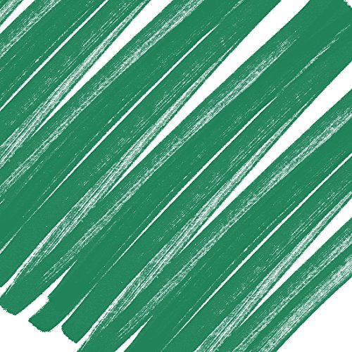 Kuretake Filz Aquarellfarben-Ton, 55° N, 2 Spitzen-ZIG