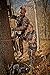 Hunter Safety System Lifeline for Tree-Stand Hunting Safety Harness, Reflective, Tandem