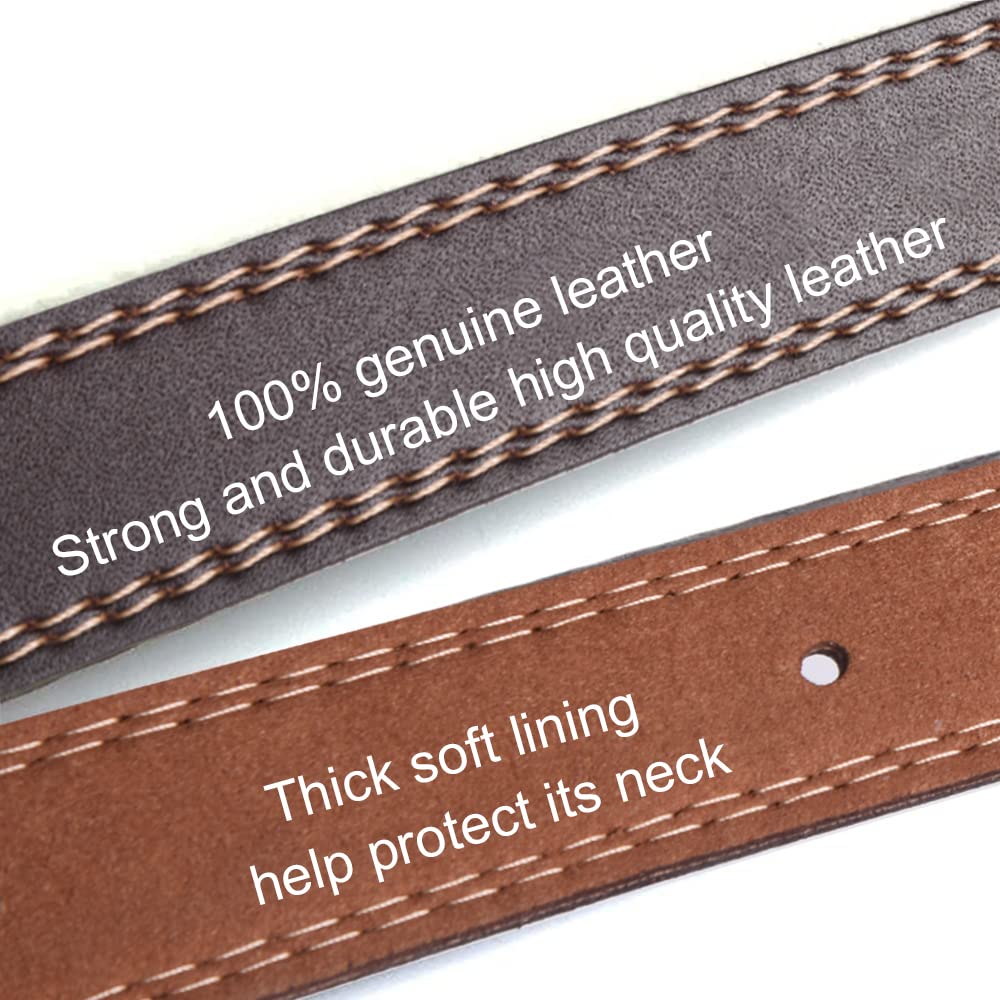 Premium Heavy Duty Genuine Leather Dog Collar Soft Adjustable for Male Female Dogs Best for Small Medium Large Breed Dogs （Brown） (M)