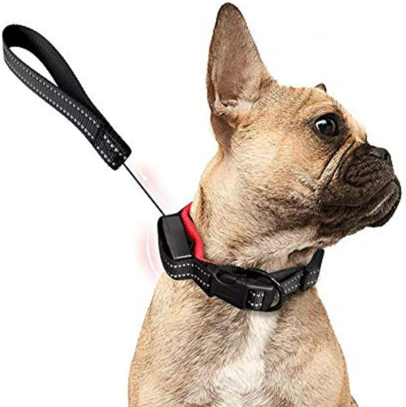retractable outdoor dog leash