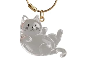 Clear Acrylic Cats Hair Collector with Pendant Decoration Keychain Furs Container for Travel Friendly Shape Pet Memorial Box