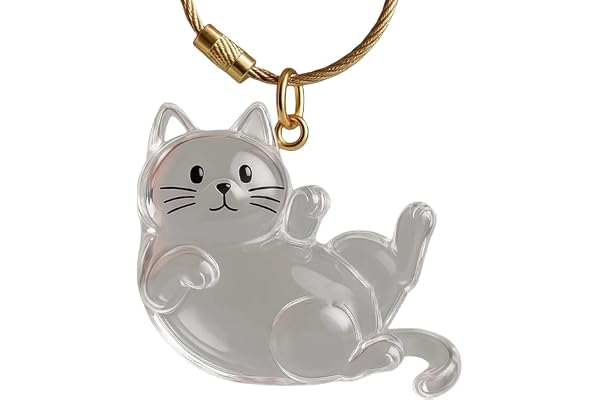 Clear Acrylic Cats Hair Collector with Cats Pendant Decoration Keychain Furs Container for Travel Friendly Shape Pet Memorial
