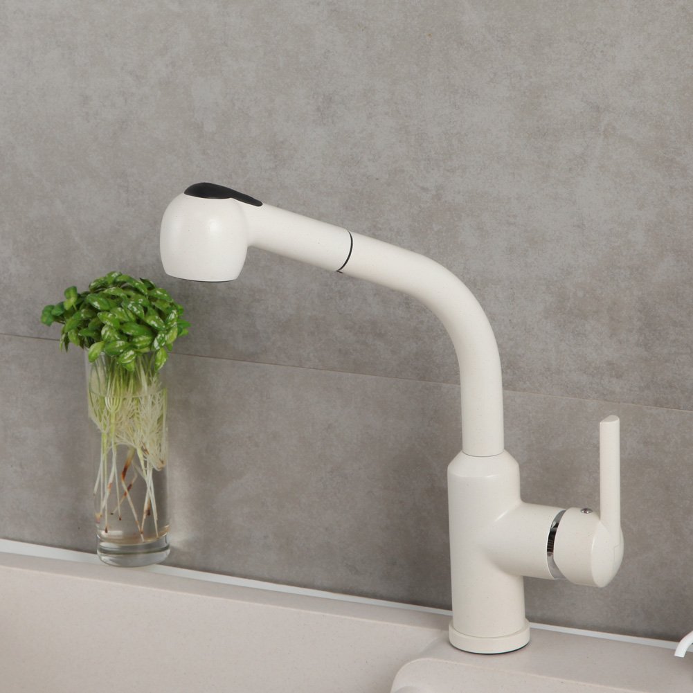Best Price Pfister Kitchen Faucet White