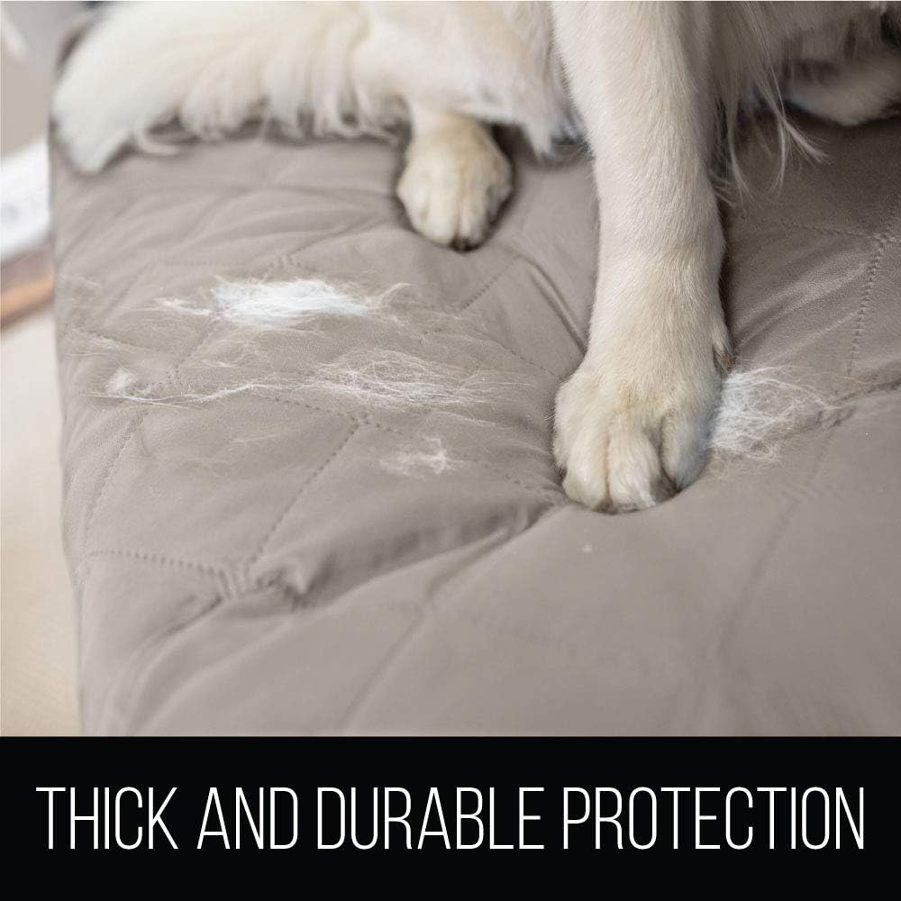 Sofa Shield Original Patent Pending Reversible Chair Protector for Seat Width up to 23 Inch, Furniture Slipcover, 2 Inch Strap, Chairs Slip Cover Throw for Pet Dogs, Cats, Armchair, Light Taupe: Home & Kitchen