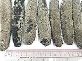 Dried Seafood Dried Japanese Okiko Sea Cucumber æ—¥æœ¬æ²–å­åƒ 300g 10.58oz Free Worldwide Airmail