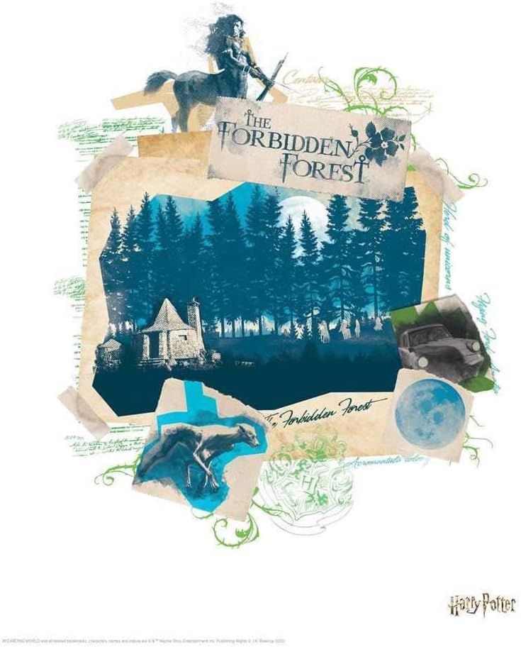 FaNaTtik Harry Potter Limited Edition Lithograph Set, 10 Premium Art Prints on 350gsm Linen Paper, Iconic Locations, 14 x 11 - Image 5