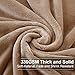 EASELAND Soft King Size Blanket All Season Warm Fuzzy Microplush Lightweight Thermal Fleece Blankets for Couch Bed Sofa,90x108 Inches,Camel