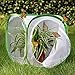 RESTCLOUD Insect and Butterfly Habitat Cage Terrarium Pop-up 12 X 12 X 12 Inches