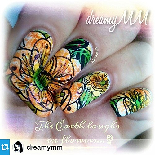 PUEEN Nail Art Stamping Plate Celebration Collection - FIREWORKS FESTIVAL - NEW INVENTION Super Size All You Can Stamp Full Size Stamping Image Plates Manicure DIY (Infinite Images With Your Creativity)-BH000435