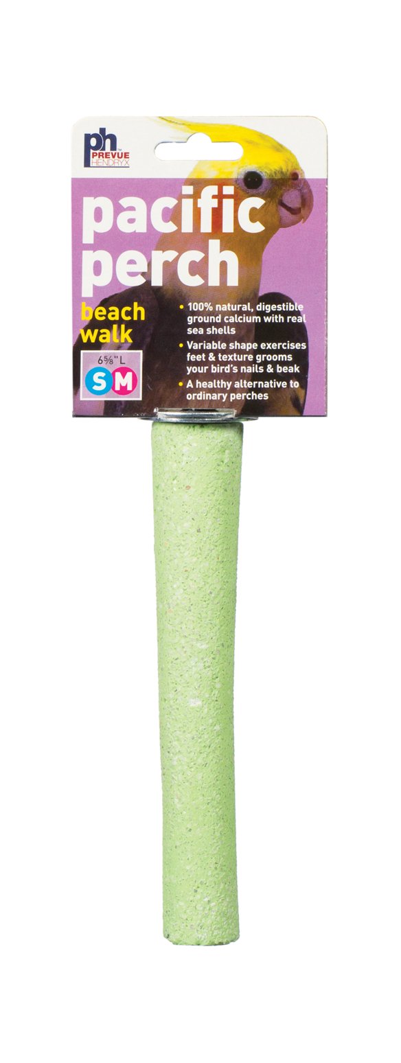 Prevue Pet Products Pacific Perch Beach Walk Medium