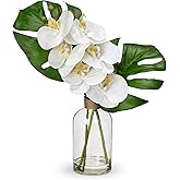 Artificial Monstera Plant and Fake Orchid in Glass Vase, 13.8" Real Touch Fake Plant Tropical Leaves Orchids Artificial Flowers with Faux Water for Home Bathroom Kitchen Office Centerpiece Room Décor