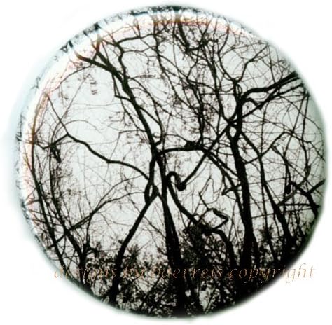 Flat Art Purse Pocket Mirror - Original Photo Image From Nature Collection "Branches" By Nathan Baerreis - Velour Bag Included 2 1/4 Inch