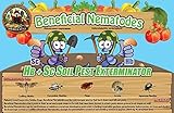 Bug Sales 50 Million Live Beneficial Nematodes Blend- Hb & Sc - Kills Over 200 Different Species of Soil Dwelling and Wood Boring Insects.