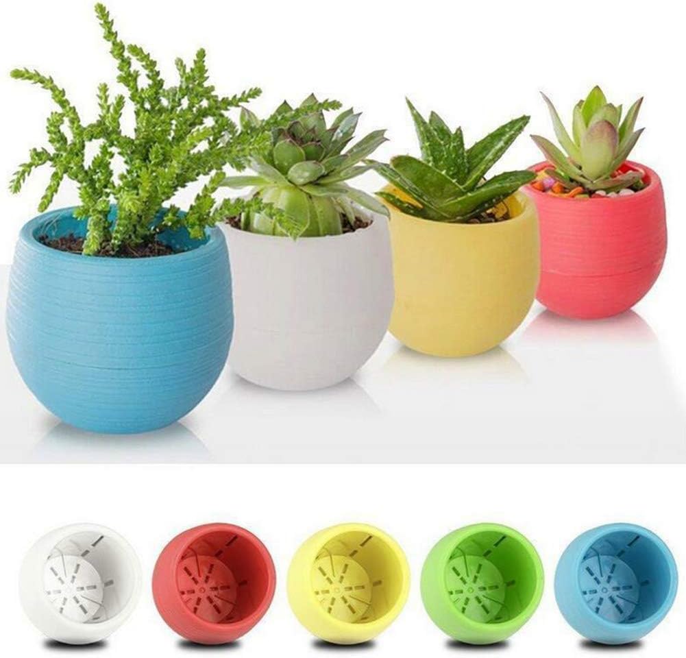 Amazon Com Planter Pot Mini Round Plastic Flowerpot Cactus