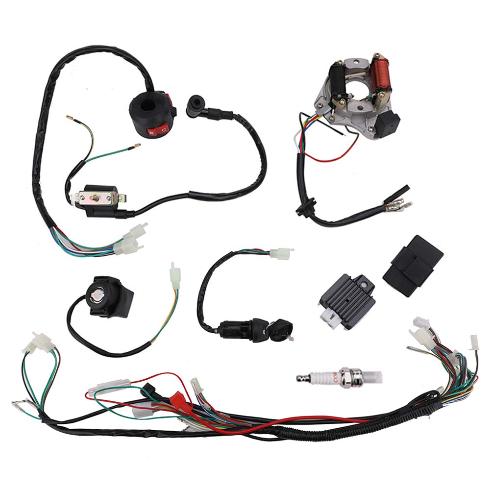 Complete Wiring Harness Loom kit Electrics Stator Engine Coil CDI