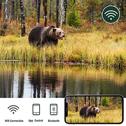 TOGUARD Trail Camera 4K Lite 24MP Game Camera Hunting Wildlife WiFi