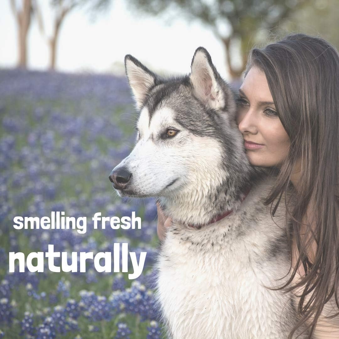WashBar Natural Dog Deodorant Spray, Lightly Scented, Lavender & Primrose, Dog Freshening Spray Odor Eliminator, All Natural, Daily Use, Large Size 8.45 oz