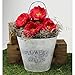 Metal Wall Pocket Planter - Galvanized Rustic Half Round - Vintage Farmhouse Style