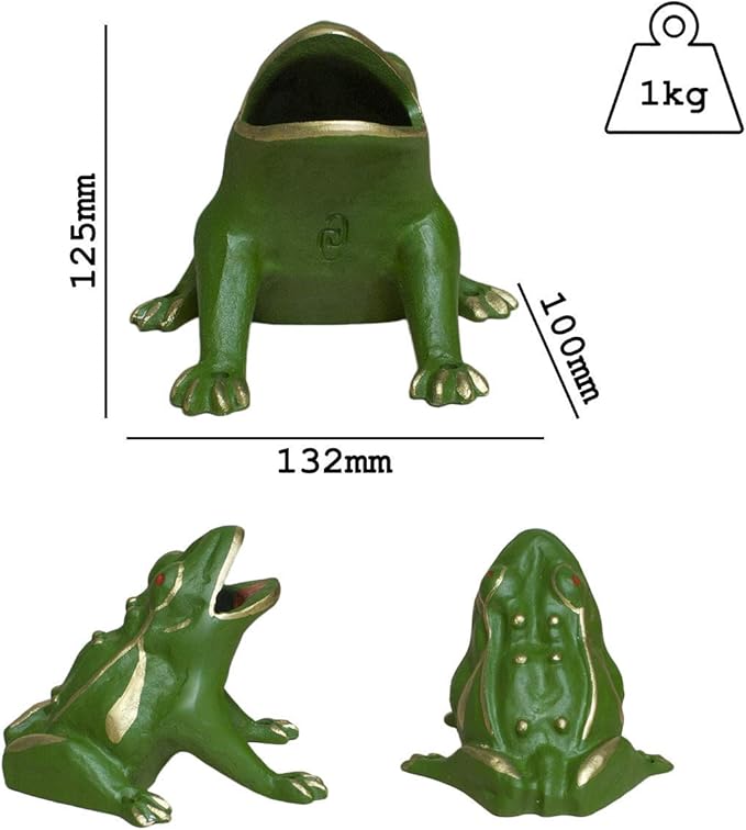 juego de la rana amazon