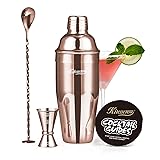 KITESSENSU Cocktail Shaker Set, Stainless Steel