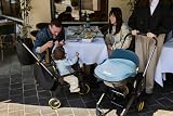 Doona Nitro Black Car Seat & Travel Stroller 0+ 5 Point Harness ISOFIX Base view 5