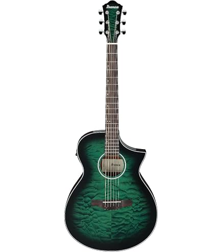 Amazon.com: Ibanez AEWC400 Acoustic-Electric Guitar - Indigo Blue