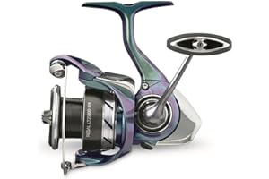 Regal LT Spinning Reel; 6.2 : 1
