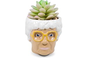 Silver Buffalo The Golden Girls Sophia Face Mini Ceramic Planter Decor | Official TV Show Collectible | Small Flower Pot for Indoor Plants, Includes Artificial Succulent | 3 Inches