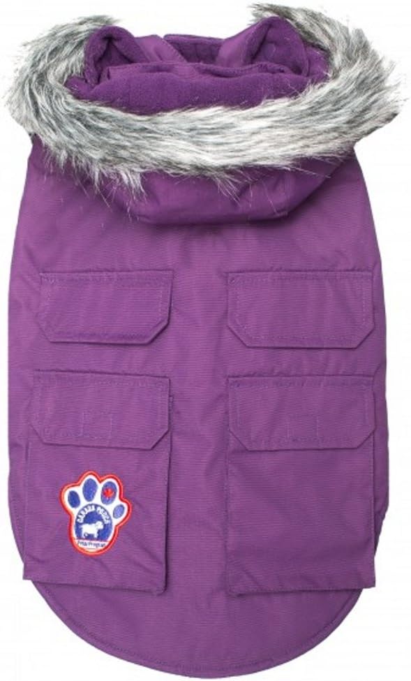 canada pooch everest explorer