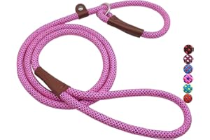 MayPaw Dog Leash Rope Slip Lead,1/4"-5Ft Durable Nylon Puppy Leash- Colorful Adjustable Training Pet Leash for Small and X-Small Dogs