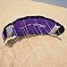 Besra Huge 74inch Dual Line Parachute Stunt Kite with Flying Tools 1.9m Power Parafoil Kitesurfing Training Kites Outdoor Fun Sports for Beach (74inch Purple)