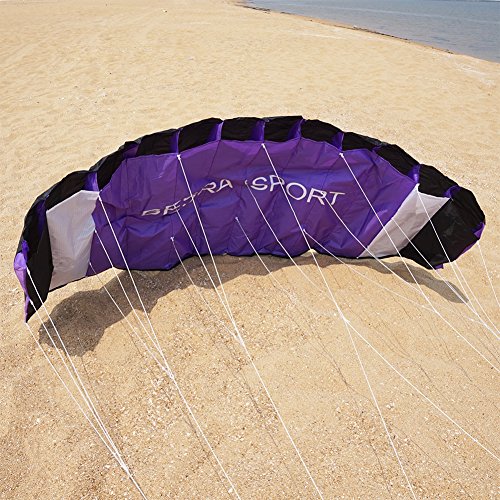 Besra New Arrival Huge 74inch Dual Line Parachute Stunt Kite with Flying Tools 1.9m Power Parafoil Kitesurfing Training kites Outdoor Fun Sports for Beach (74inch Purple)