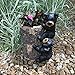 Design House 464917 Climbing Bears Planter 14-inch for Garden Patio Home & Office Décor Housewarming Gifting Birthdays