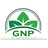 GNP NOW