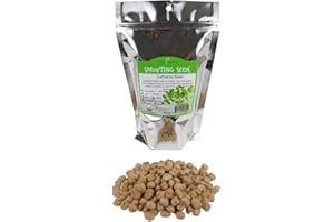 Dried Garbanzo Beans- Organic Sprouting Seeds - 1 Lbs - Handy Pantry Brand - Dry Garbonzo Bean / Seeds - For Planting, Gardening, Hummus, Cooking, Food Storage, Sprouts Product Name