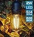 Hyperikon LED Outdoor Commercial String Lights, 48ft with 15 Hanging Sockets, 2W LED S14 LED Bulbs Included - Weatherproof Vintage Edison String Lights for Patio, Backyard, Party Wedding Decoration
