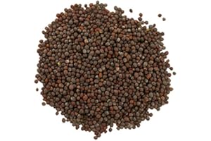 Frontier Co-op Organic Whole Brown Mustard Seed, 1-pound Bulk Bag, Robust Spicy, Peppery Flavor, Great for Soup and Pickling