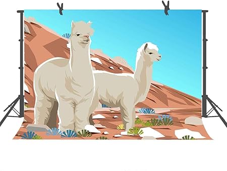 Amazon アニメ写真背景幕 かわいい 可愛い動物 背景 美しい装飾写真 子供用 アートスタジオ 新生児 幼児 シャワーまたはyoutubeバックドロップ 9x6ft Pst321 バックペーパー 背景布 通販