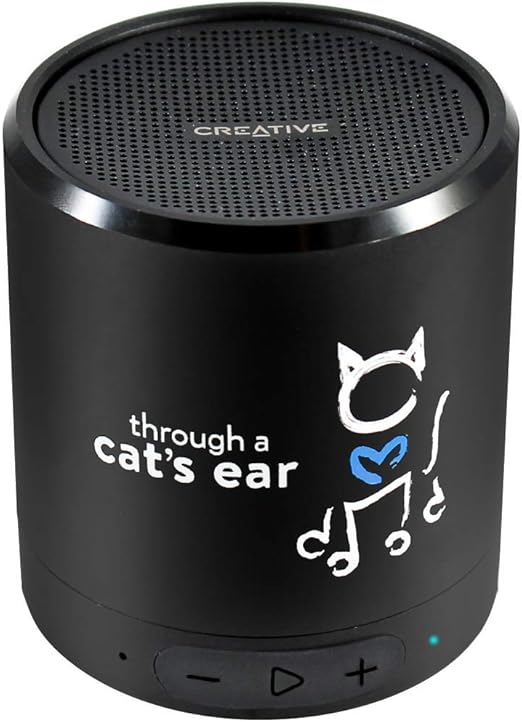 cat box speaker