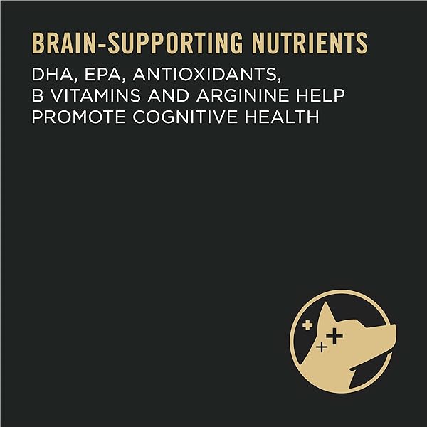 PURINA PRO PLAN CALM & BALANCED DRY DOG FOOD, ADULT DOG CALMING DHA CHICKEN & RICE FORMULA – 5 LB. BAG