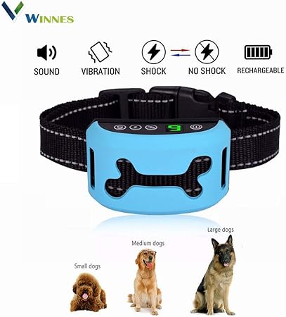 best dog accessories 2019