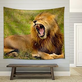 Male Lion | Wildlife Animal - Fabric Wall Tapestry Home Decor - 51x60 inches