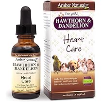 Amazon.com : Amber NaturalZ Adizone C Herbal Supplement for