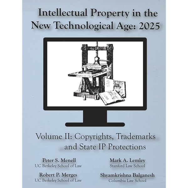 International Litigation In Intellectual Property And Info Technology [ハードカバー] Nuyts， Arnaud International Litigation In Intellectual Property And Info