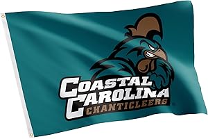 Desert Cactus Coastal Carolina University CCU Flag - 3 x 5 Feet Chanticleers Banner, Indoor/Outdoor Durable Fabric, 100% Polyester Design (Style 1)