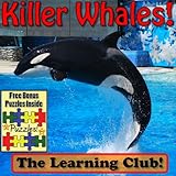 Killer Whales! Learn About Killer Whales And Learn To Read - The Learning Club! (45+ Photos of Killer Whales)